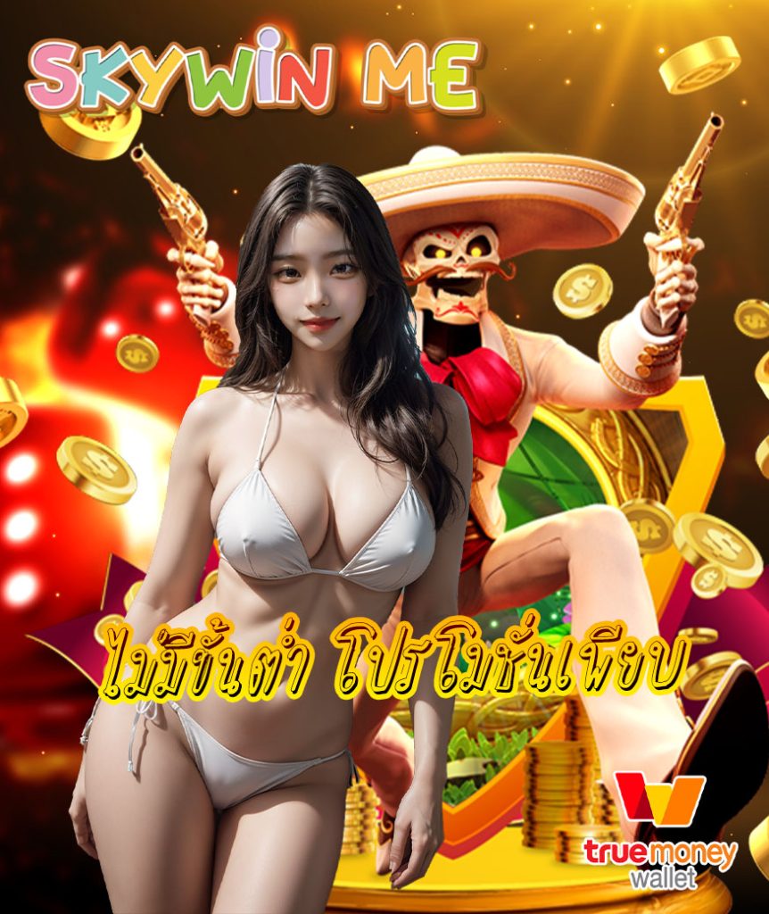 skywin me